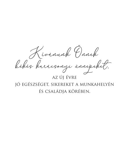 Karácsonyi szöveg 299