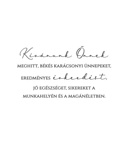 Karácsonyi szöveg 313