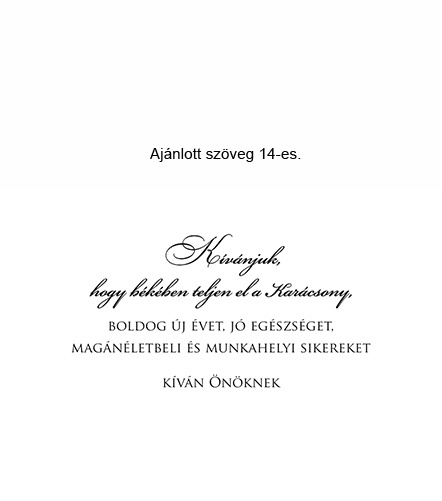 szöveg 14
