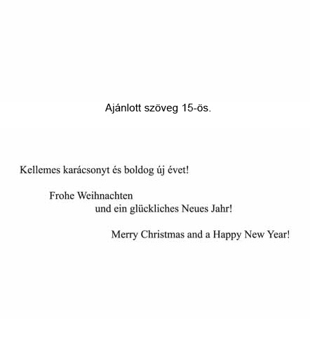 szöveg 15