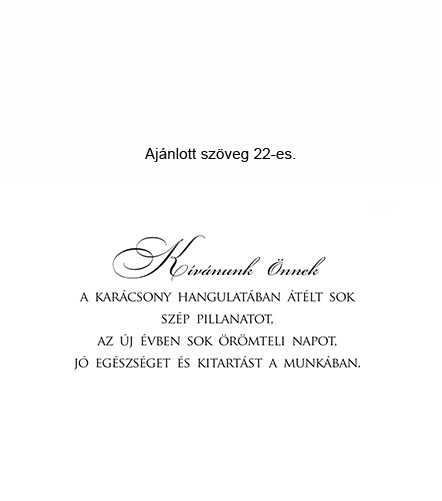 szöveg 22