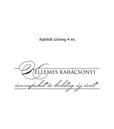 szöveg 4